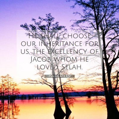 Picture 07 - Psalms 47:4 KJV - He shall choose our inheritance for us, the - Bible Verse Picture