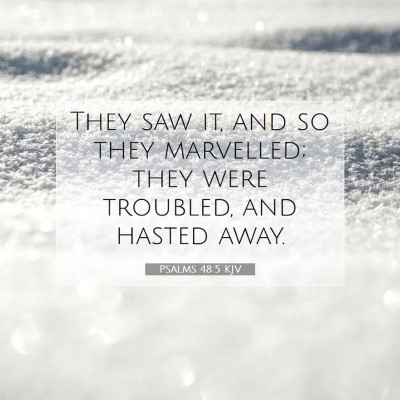 Picture 07 - Psalms 48:5 KJV - They saw it, and so they marvelled; they were - Bible Verse Picture