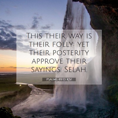 Picture 07 - Psalms 49:13 KJV - This their way is their folly: yet their - Bible Verse Picture