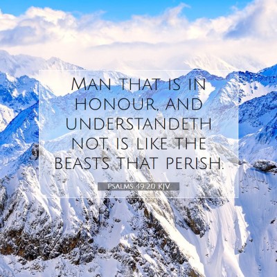 Picture 07 - Psalms 49:20 KJV - Man that is in honour, and understandeth not, is - Bible Verse Picture