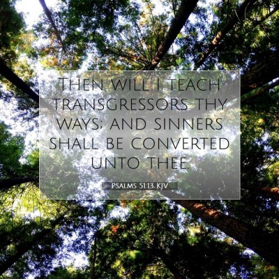 Picture 07 - Psalms 51:13 KJV - Then will I teach transgressors thy ways; and - Bible Verse Picture