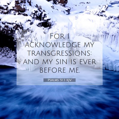 Picture 07 - Psalms 51:3 KJV - For I acknowledge my transgressions: and my sin - Bible Verse Picture