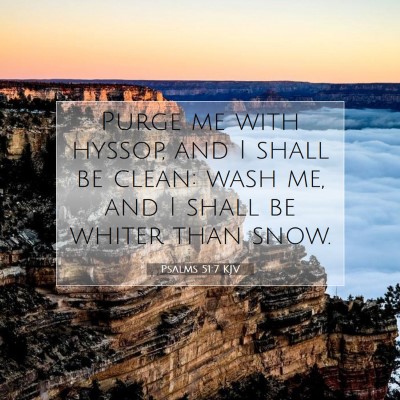 Picture 07 - Psalms 51:7 KJV - Purge me with hyssop, and I shall be clean: wash - Bible Verse Picture