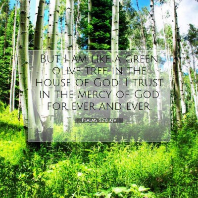 Picture 07 - Psalms 52:8 KJV - But I am like a green olive tree in the house of - Bible Verse Picture