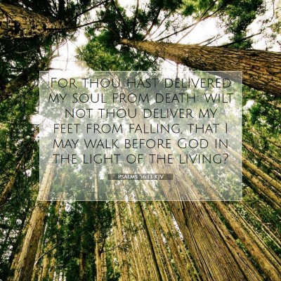 Picture 07 - Psalms 56:13 KJV - For thou hast delivered my soul from death: wilt - Bible Verse Picture