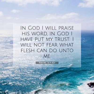 Picture 07 - Psalms 56:4 KJV - In God I will praise his word, in God I have put - Bible Verse Picture