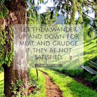 Picture 07 - Psalms 59:15 KJV - Let them wander up and down for meat, and grudge - Bible Verse Picture