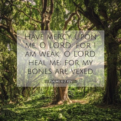 Picture 07 - Psalms 6:2 KJV - Have mercy upon me, O LORD; for I am weak: O - Bible Verse Picture