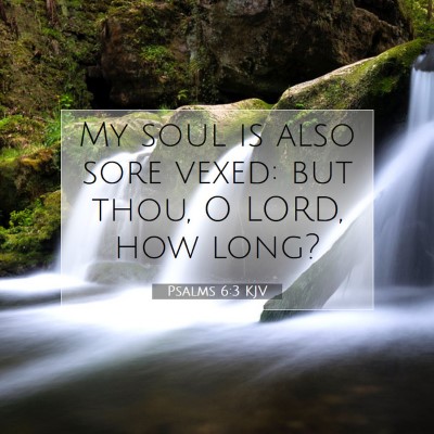 Picture 07 - Psalms 6:3 KJV - My soul is also sore vexed: but thou, O LORD, how - Bible Verse Picture