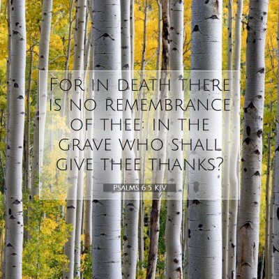 Picture 07 - Psalms 6:5 KJV - For in death there is no remembrance of thee: in - Bible Verse Picture