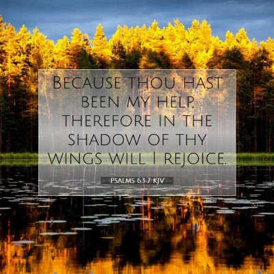 Picture 07 - Psalms 63:7 KJV - Because thou hast been my help, therefore in the - Bible Verse Picture