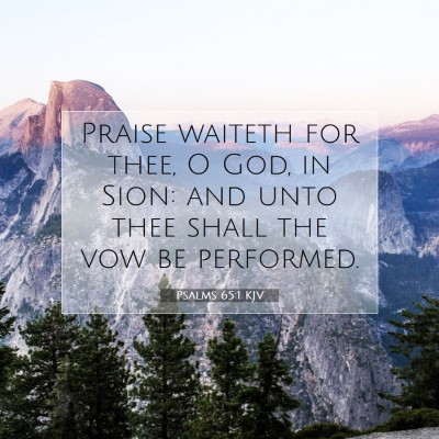 Picture 07 - Psalms 65:1 KJV - Praise waiteth for thee, O God, in Sion: and unto - Bible Verse Picture