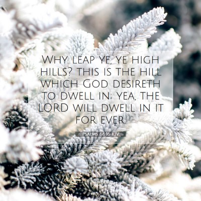 Picture 07 - Psalms 68:16 KJV - Why leap ye, ye high hills? this is the hill - Bible Verse Picture
