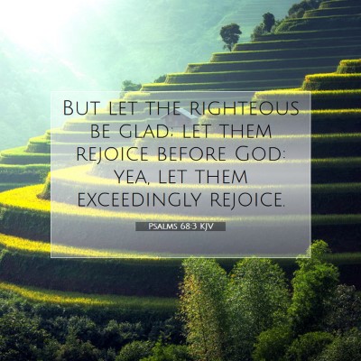 Picture 07 - Psalms 68:3 KJV - But let the righteous be glad; let them rejoice - Bible Verse Picture