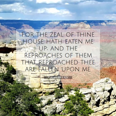 Picture 07 - Psalms 69:9 KJV - For the zeal of thine house hath eaten me up; and - Bible Verse Picture