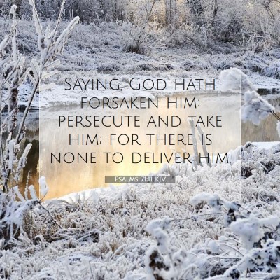Picture 07 - Psalms 71:11 KJV - Saying, God hath forsaken him: persecute and take - Bible Verse Picture