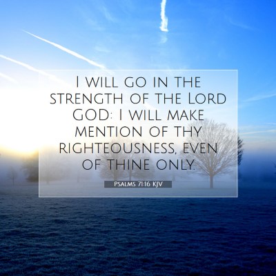 Picture 07 - Psalms 71:16 KJV - I will go in the strength of the Lord GOD: I will - Bible Verse Picture
