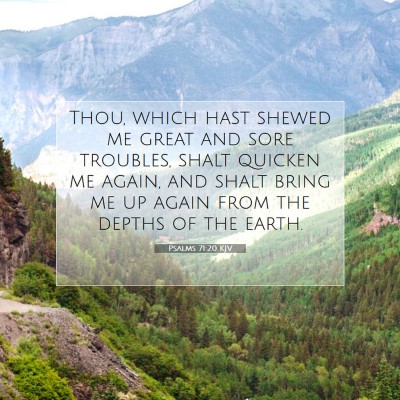 Picture 07 - Psalms 71:20 KJV - Thou, which hast shewed me great and sore - Bible Verse Picture