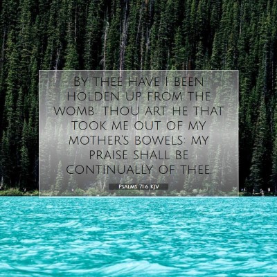 Picture 07 - Psalms 71:6 KJV - By thee have I been holden up from the womb: thou - Bible Verse Picture