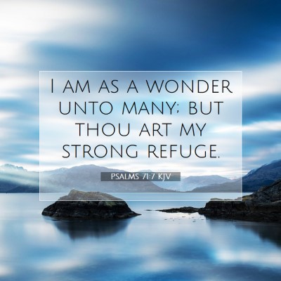 Picture 07 - Psalms 71:7 KJV - I am as a wonder unto many; but thou art my - Bible Verse Picture