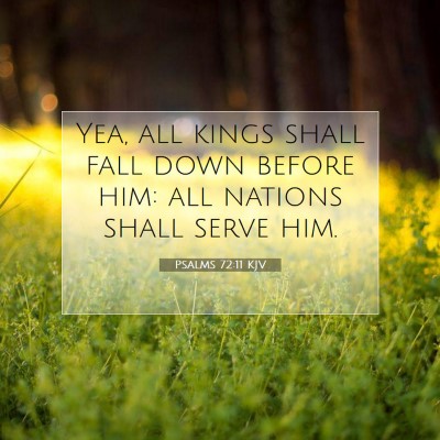 Picture 07 - Psalms 72:11 KJV - Yea, all kings shall fall down before him: all - Bible Verse Picture