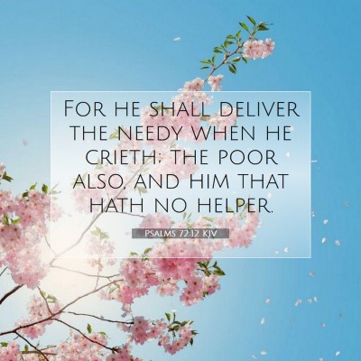 Picture 07 - Psalms 72:12 KJV - For he shall deliver the needy when he crieth; - Bible Verse Picture
