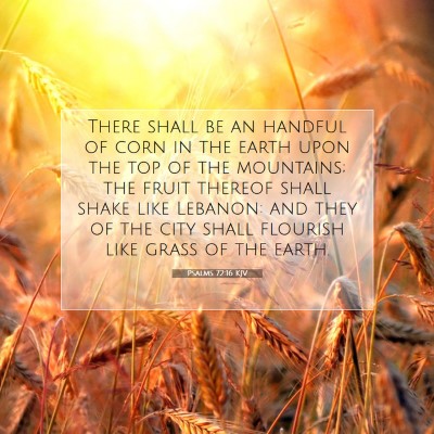 Picture 07 - Psalms 72:16 KJV - There shall be an handful of corn in the earth - Bible Verse Picture