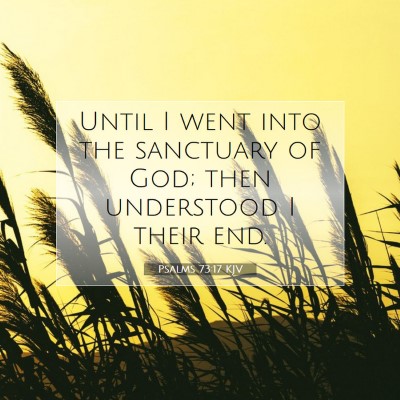 Picture 07 - Psalms 73:17 KJV - Until I went into the sanctuary of God; then - Bible Verse Picture