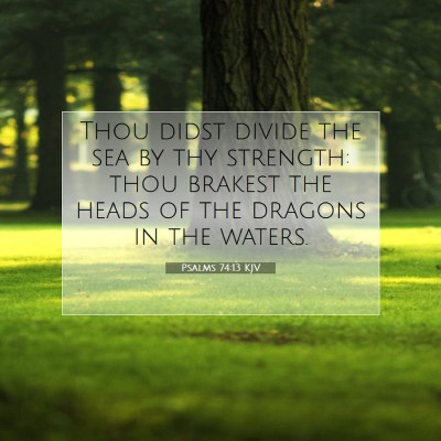 Picture 07 - Psalms 74:13 KJV - Thou didst divide the sea by thy strength: thou - Bible Verse Picture