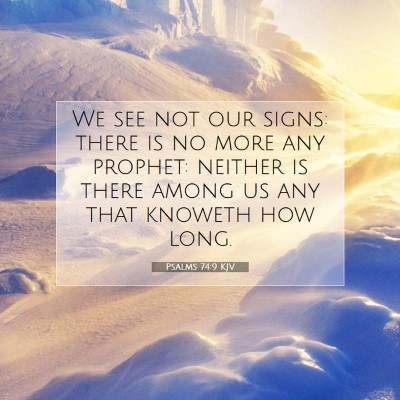 Picture 07 - Psalms 74:9 KJV - We see not our signs: there is no more any - Bible Verse Picture