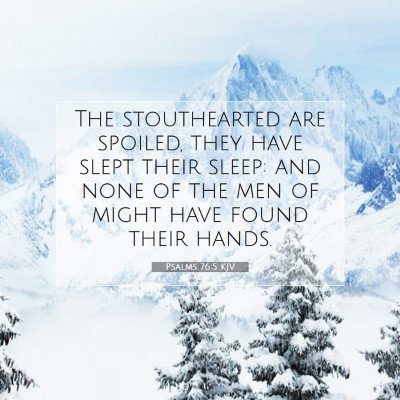 Picture 07 - Psalms 76:5 KJV - The stouthearted are spoiled, they have slept - Bible Verse Picture