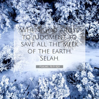 Picture 07 - Psalms 76:9 KJV - When God arose to judgment, to save all the meek - Bible Verse Picture