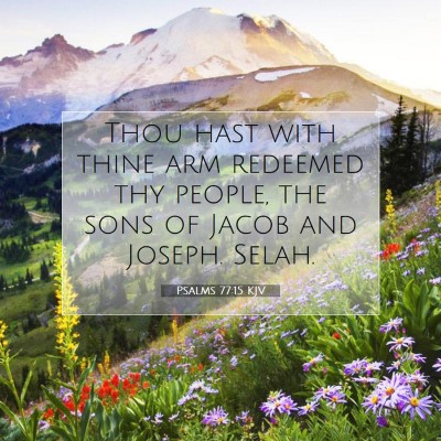 Picture 07 - Psalms 77:15 KJV - Thou hast with thine arm redeemed thy people, the - Bible Verse Picture