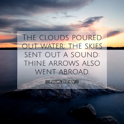 Picture 07 - Psalms 77:17 KJV - The clouds poured out water: the skies sent out a - Bible Verse Picture