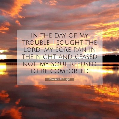 Picture 07 - Psalms 77:2 KJV - In the day of my trouble I sought the Lord: my - Bible Verse Picture