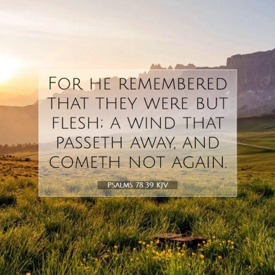 Picture 07 - Psalms 78:39 KJV - For he remembered that they were but flesh; a - Bible Verse Picture