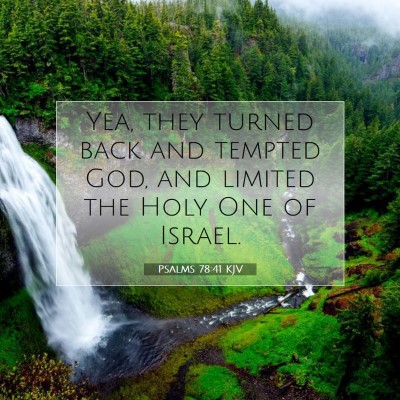 Picture 07 - Psalms 78:41 KJV - Yea, they turned back and tempted God, and - Bible Verse Picture
