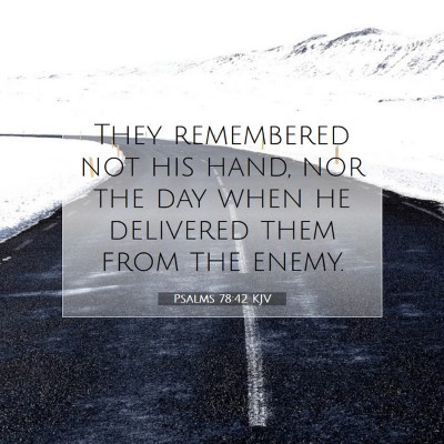 Picture 07 - Psalms 78:42 KJV - They remembered not his hand, nor the day when he - Bible Verse Picture