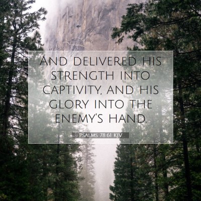 Picture 07 - Psalms 78:61 KJV - And delivered his strength into captivity, and - Bible Verse Picture