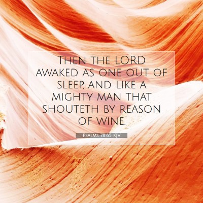 Picture 07 - Psalms 78:65 KJV - Then the LORD awaked as one out of sleep, and - Bible Verse Picture