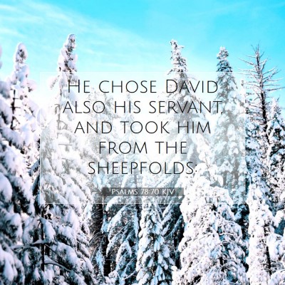 Picture 07 - Psalms 78:70 KJV - He chose David also his servant, and took him - Bible Verse Picture