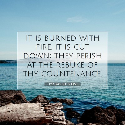 Picture 07 - Psalms 80:16 KJV - It is burned with fire, it is cut down: they - Bible Verse Picture