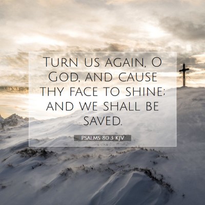 Picture 07 - Psalms 80:3 KJV - Turn us again, O God, and cause thy face to - Bible Verse Picture