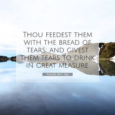 Picture 07 - Psalms 80:5 KJV - Thou feedest them with the bread of tears; and - Bible Verse Picture