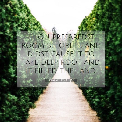 Picture 07 - Psalms 80:9 KJV - Thou preparedst room before it, and didst cause - Bible Verse Picture