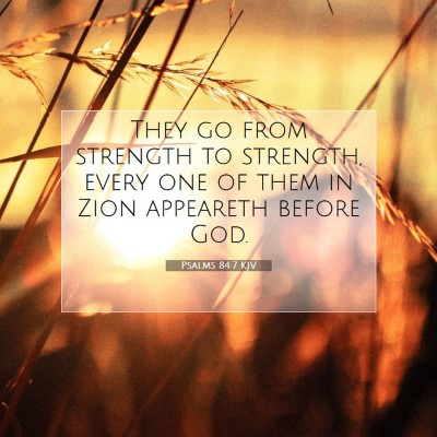 Picture 07 - Psalms 84:7 KJV - They go from strength to strength, every one of - Bible Verse Picture
