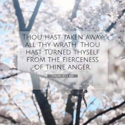 Picture 07 - Psalms 85:3 KJV - Thou hast taken away all thy wrath: thou hast - Bible Verse Picture