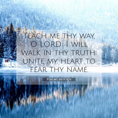 Picture 07 - Psalms 86:11 KJV - Teach me thy way, O LORD; I will walk in thy - Bible Verse Picture