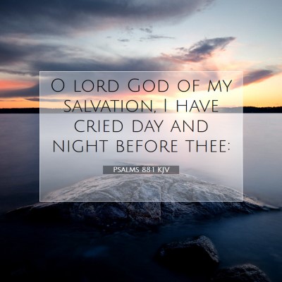 Picture 07 - Psalms 88:1 KJV - O lord God of my salvation, I have cried day and - Bible Verse Picture