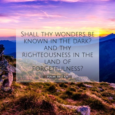 Picture 07 - Psalms 88:12 KJV - Shall thy wonders be known in the dark? and thy - Bible Verse Picture